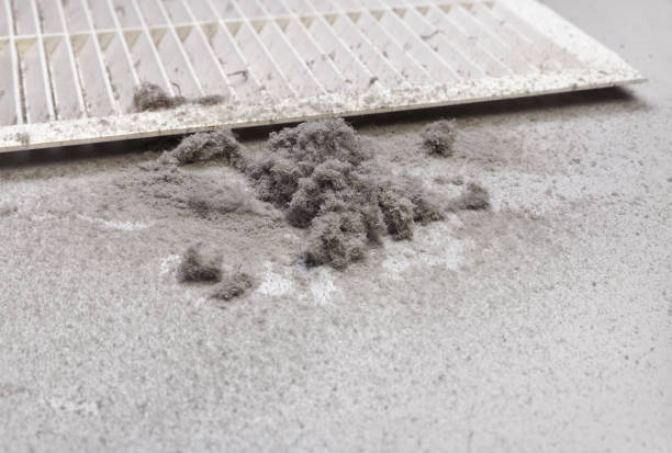 Best Affordable HVAC Duct Cleaning  in Merrill, WI